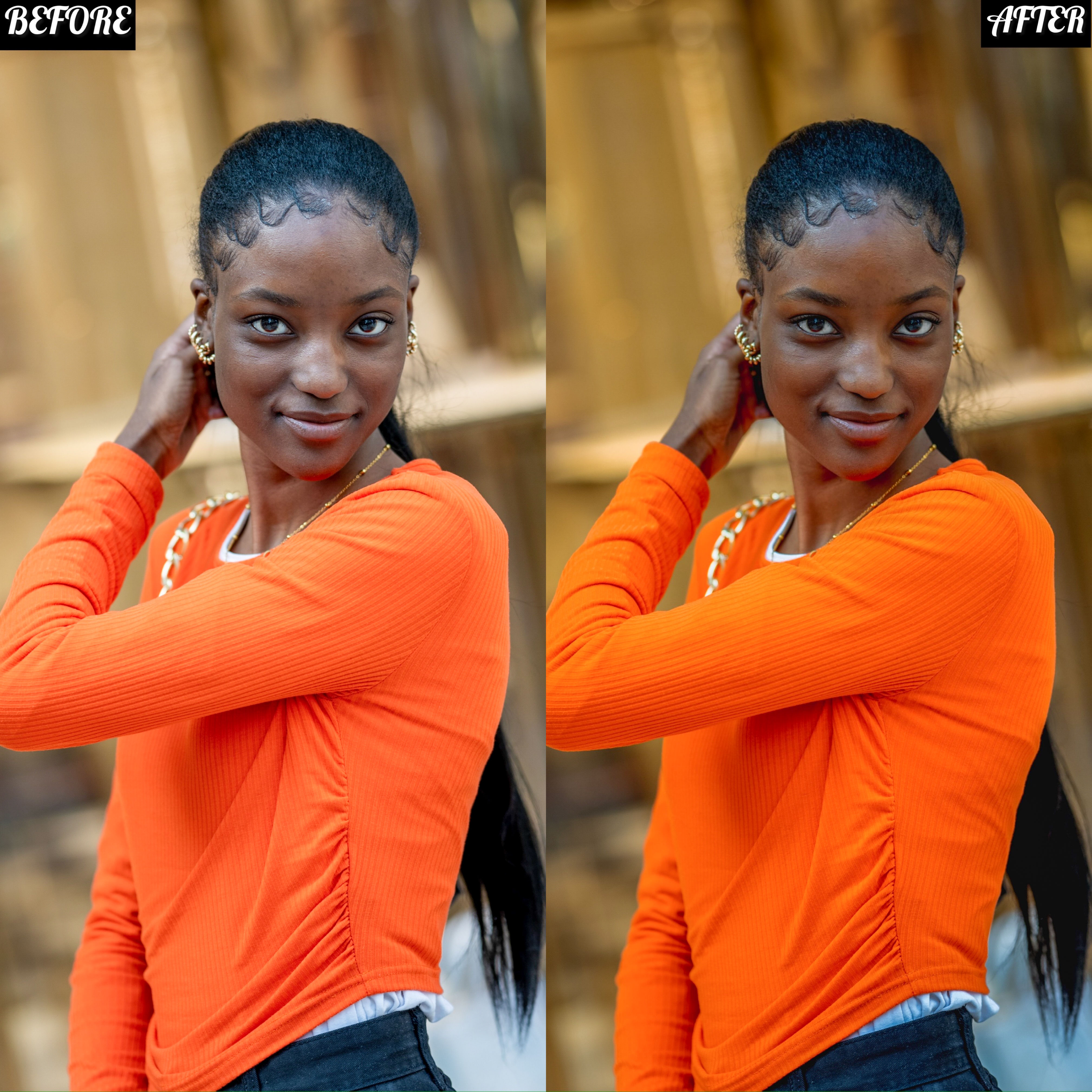 LAYLA NASE SUN KISSED PRESET Image