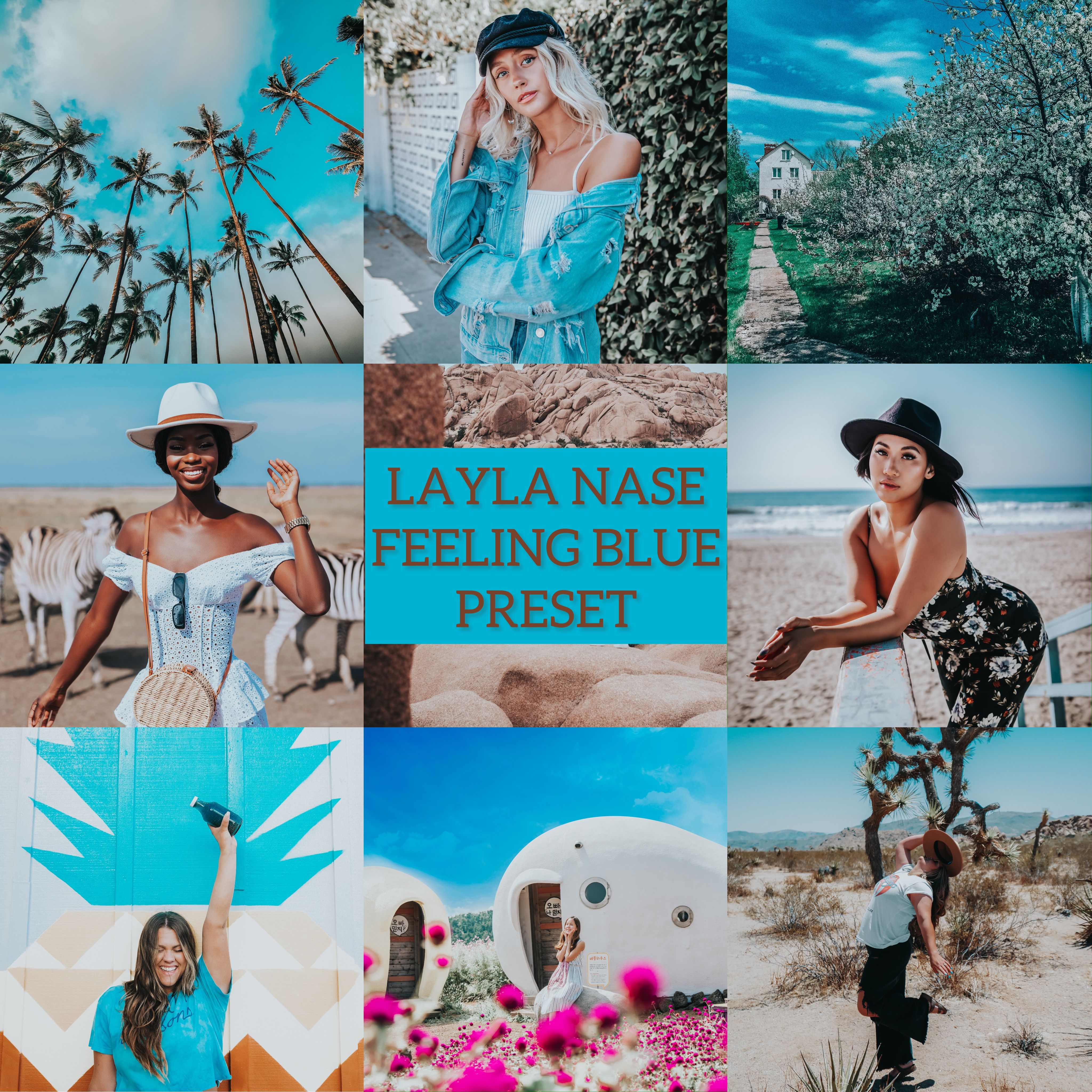 LAYLA NASE FEELING BLUE PRESET Image