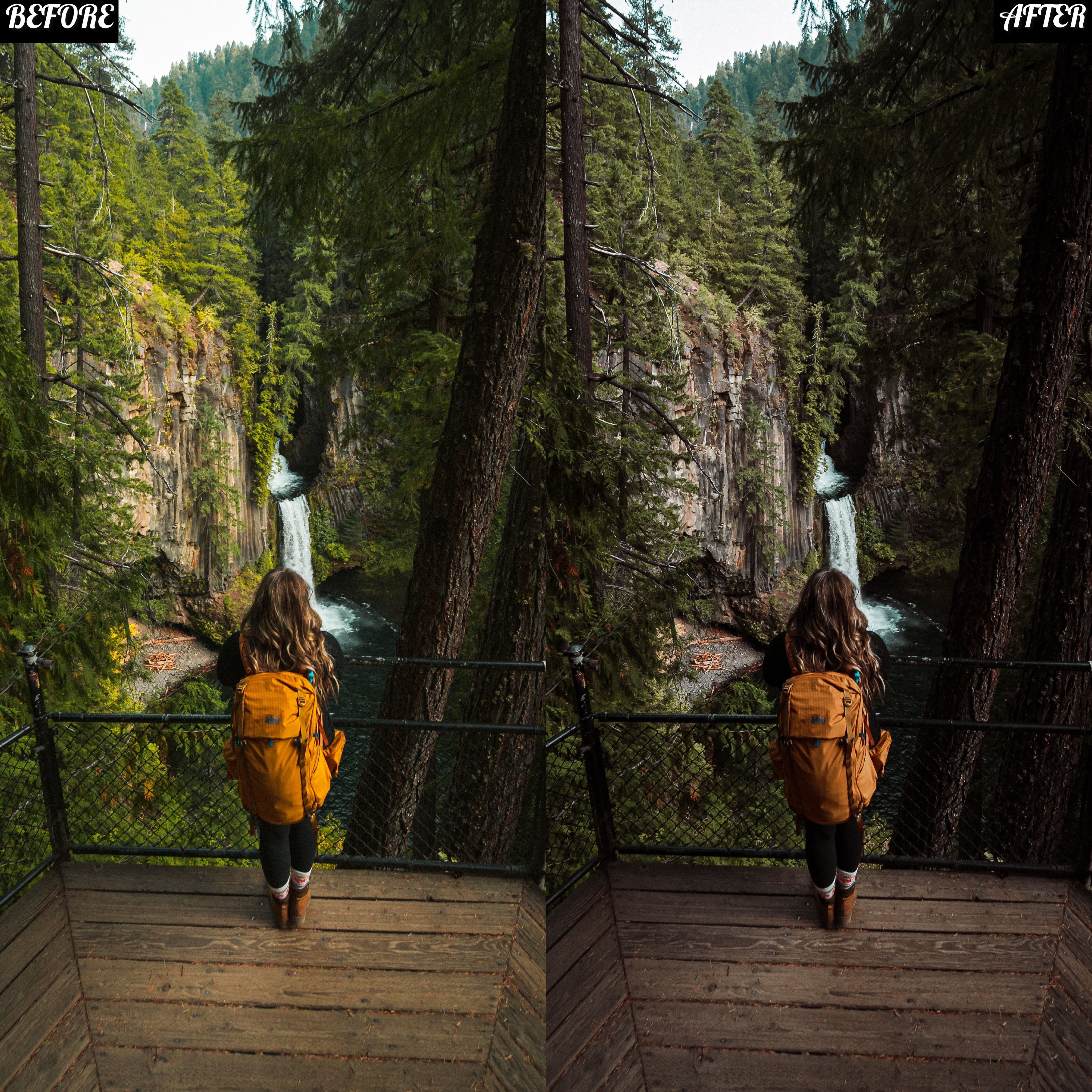 LAYLA NASE INFLUENCER PRESET (CALM) Image