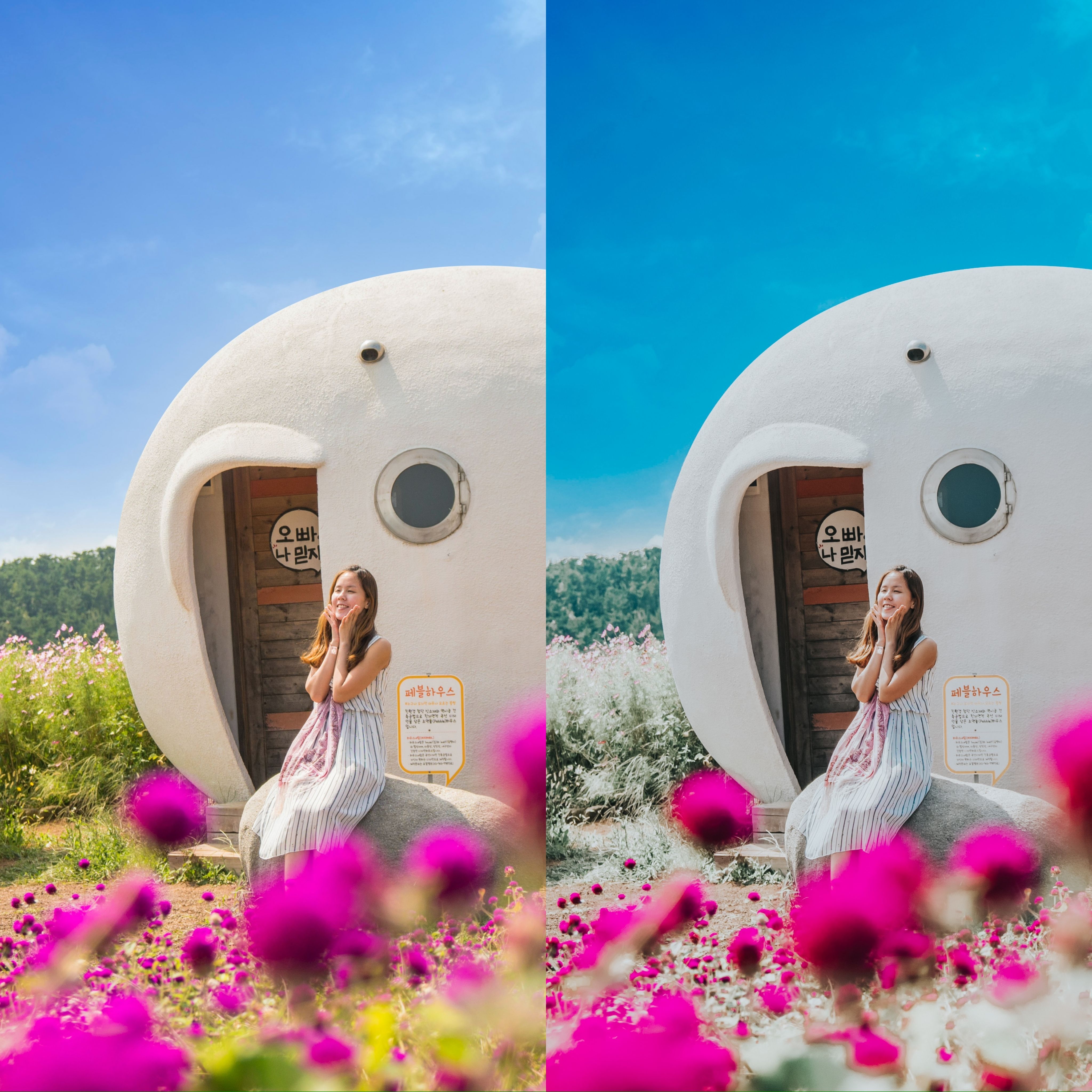 LAYLA NASE FEELING BLUE PRESET Image