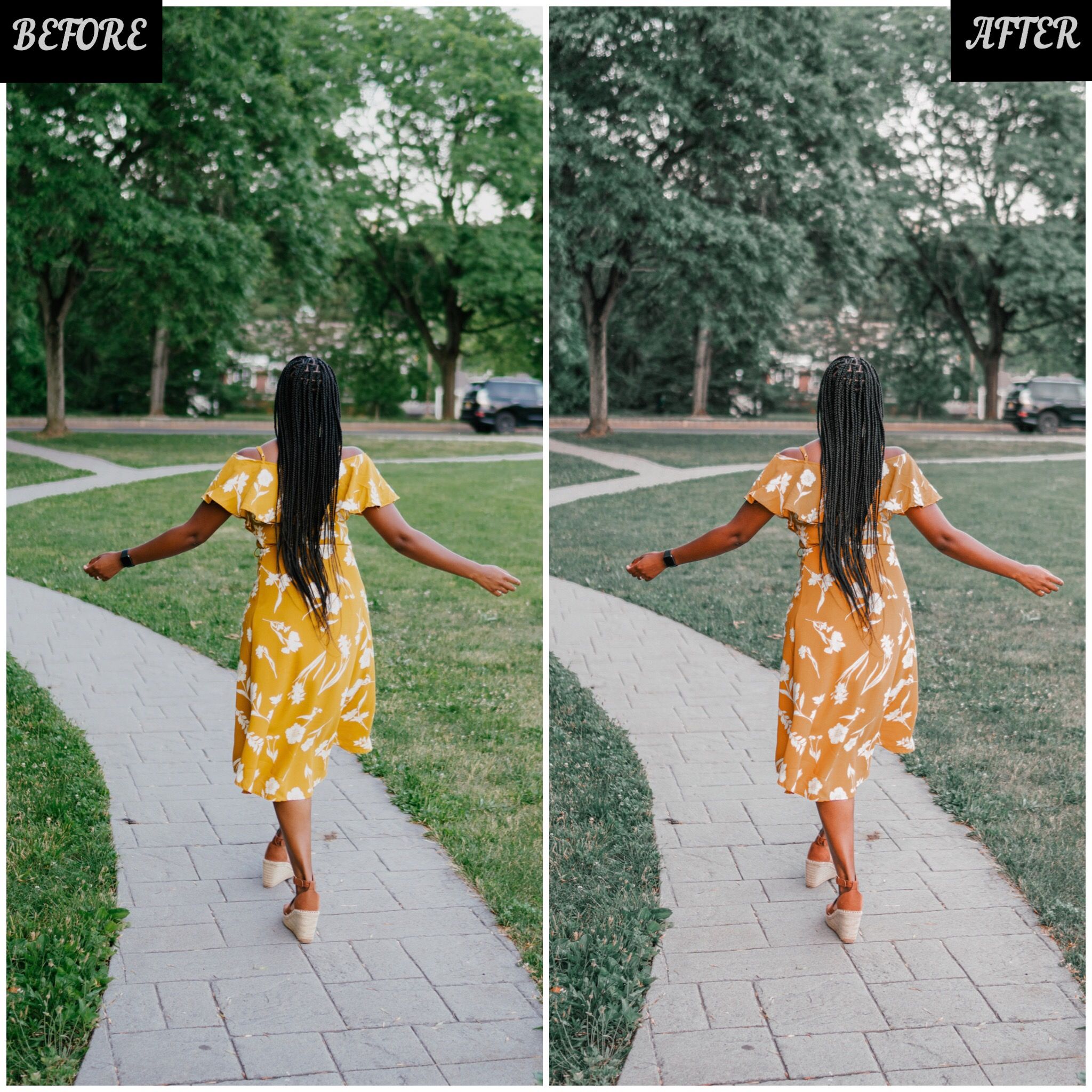 LAYLA NASE SUMMER VIBES PRESET Image