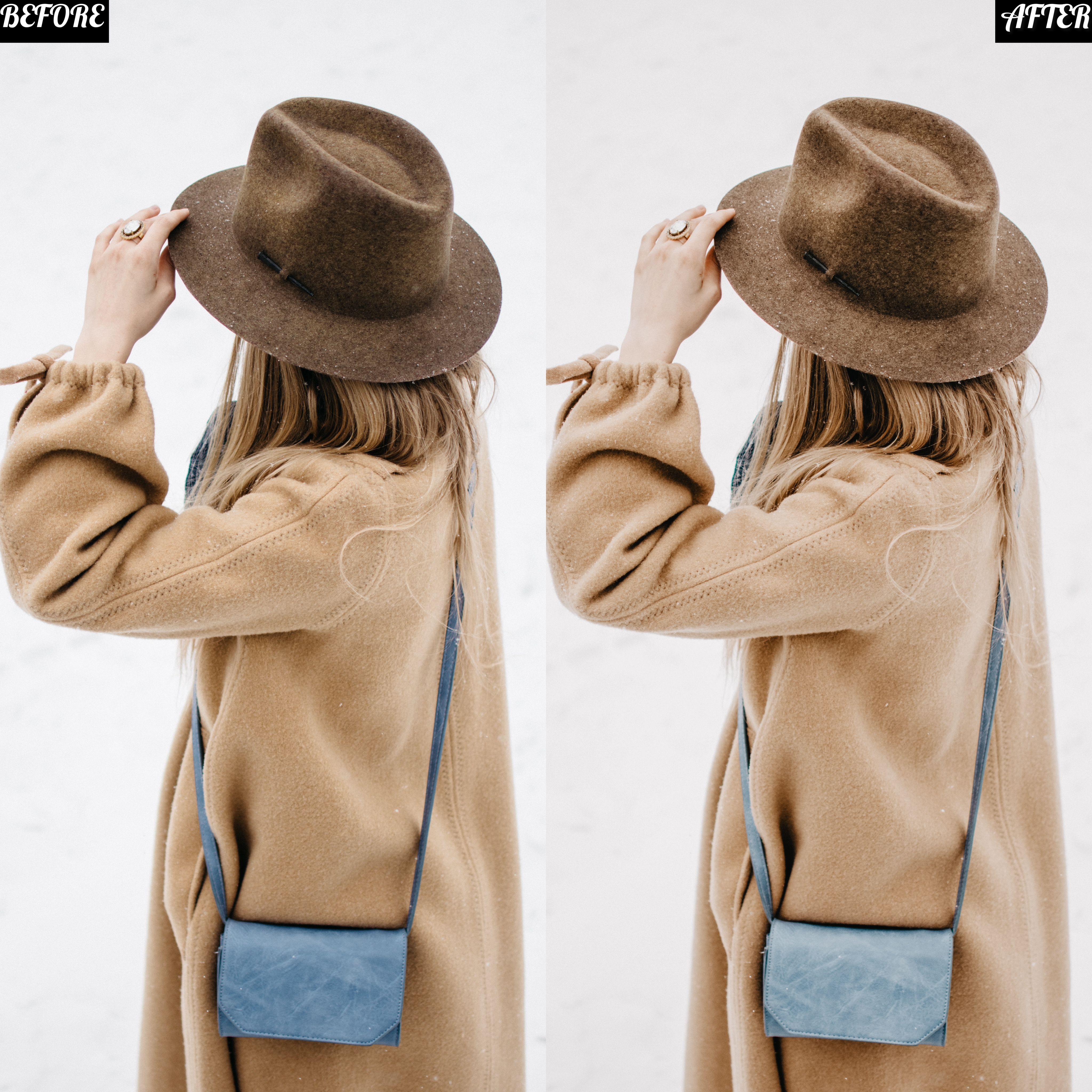 LAYLA NASE NEUTRAL TONE PRESET Image
