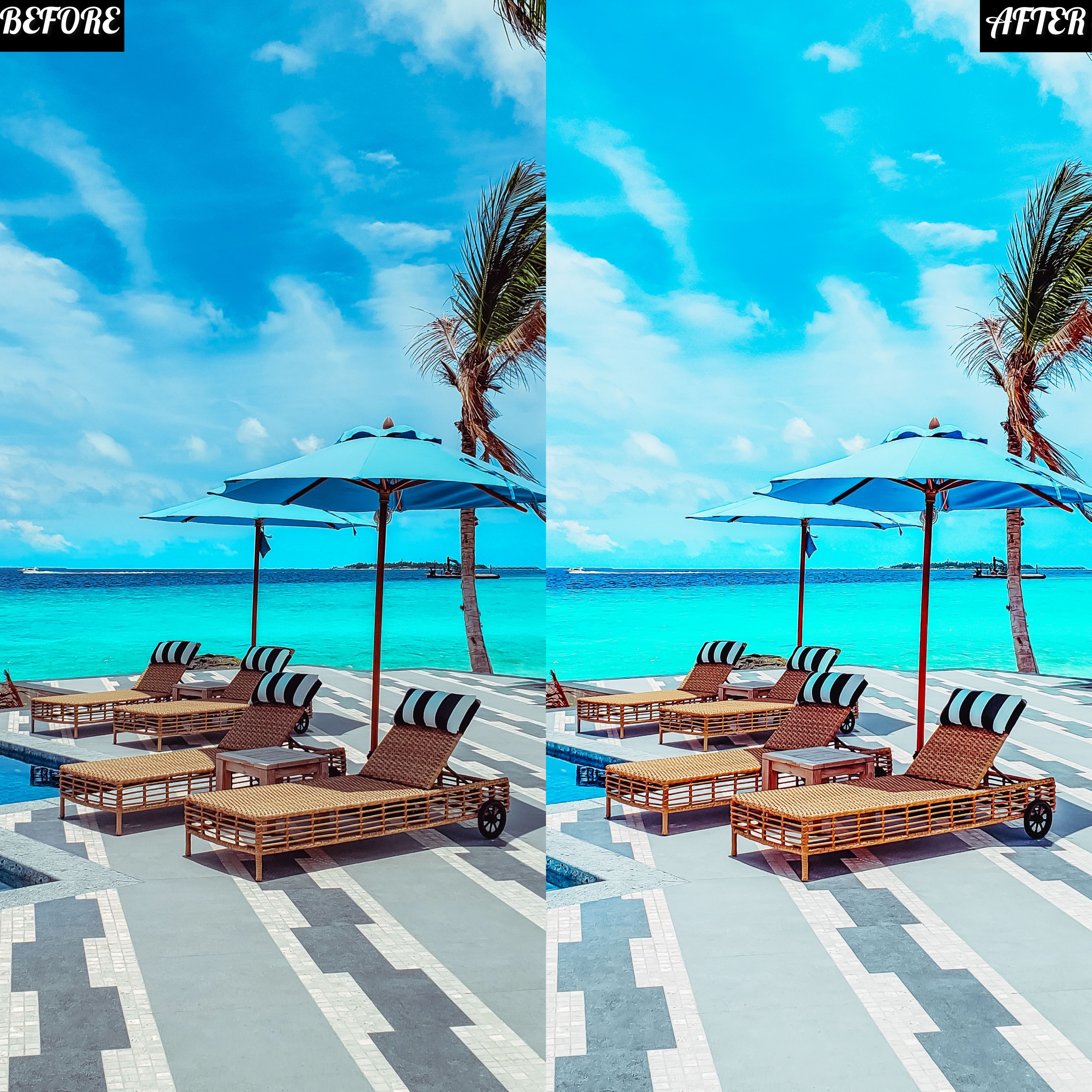 LAYLA NASE COLOR POP PRESET Image