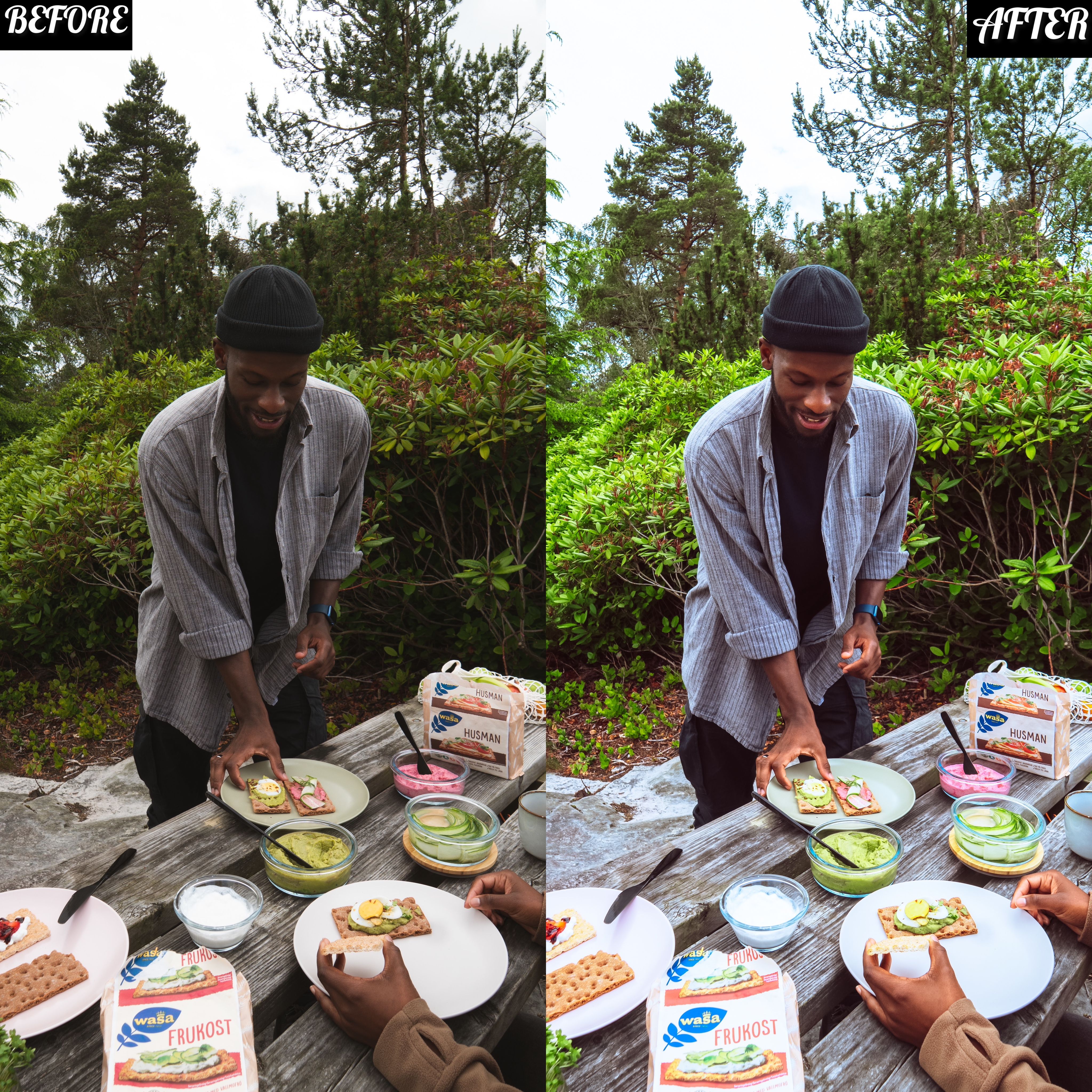LAYLA NASE PICNIC PRESET Image