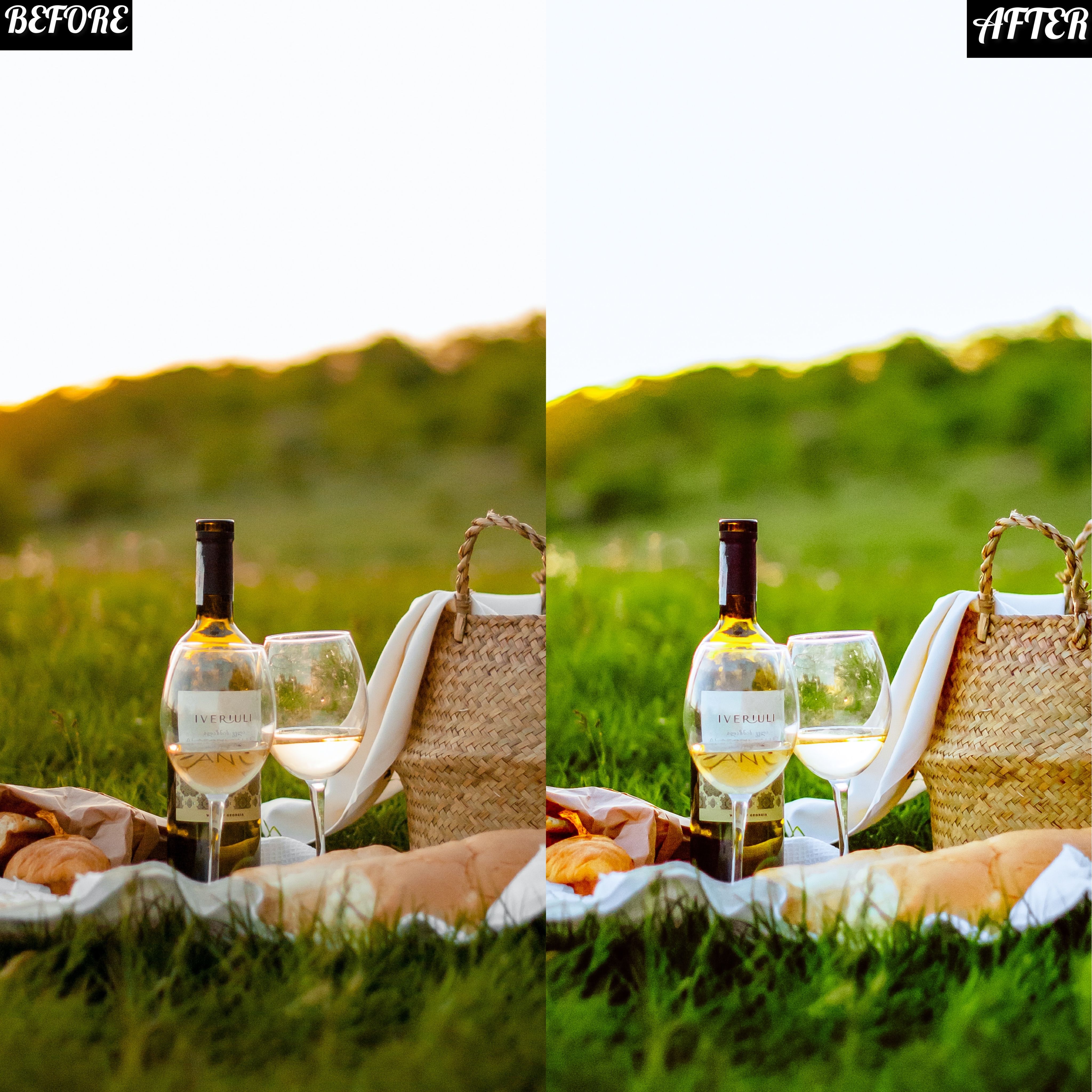 LAYLA NASE PICNIC PRESET Image