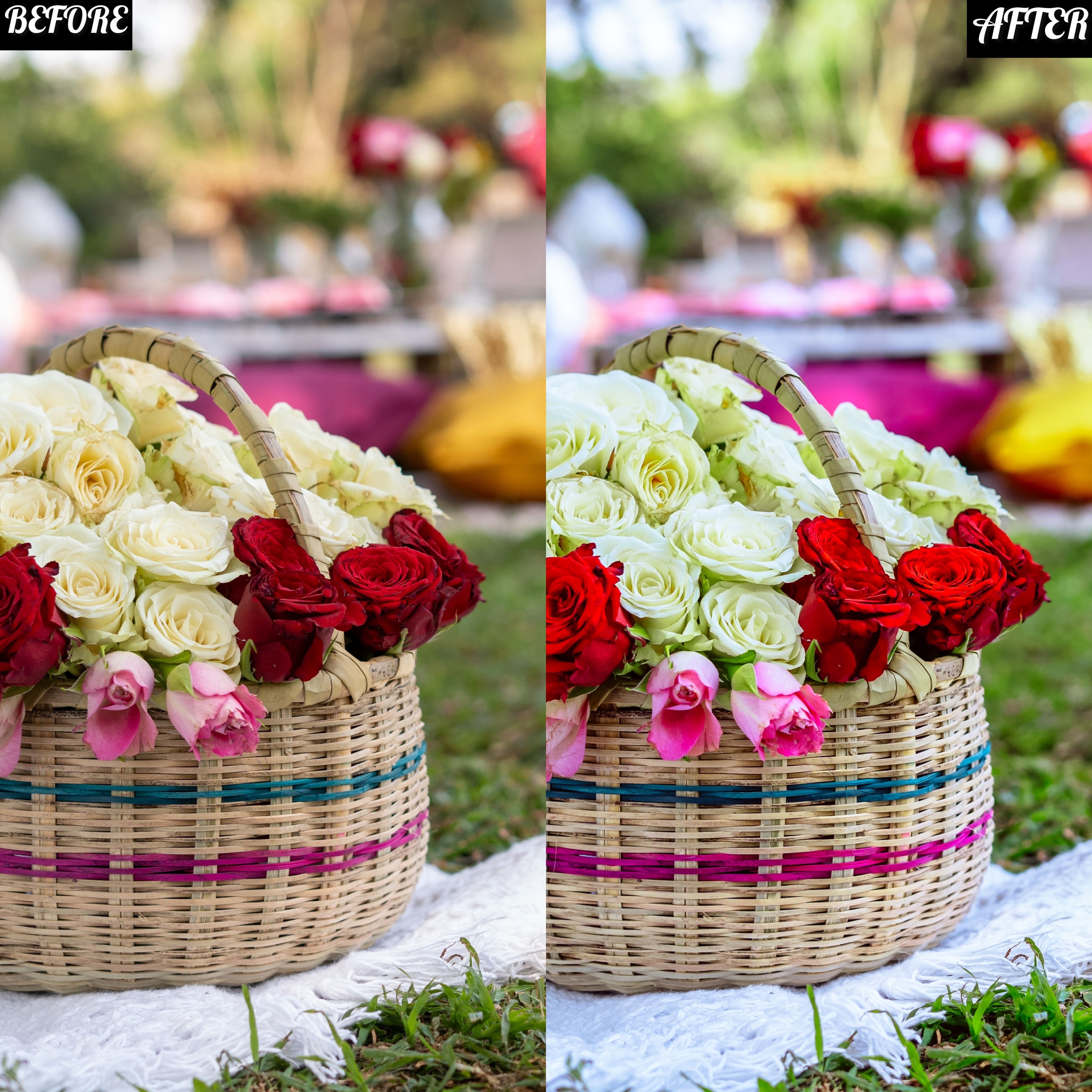 LAYLA NASE PICNIC PRESET Image