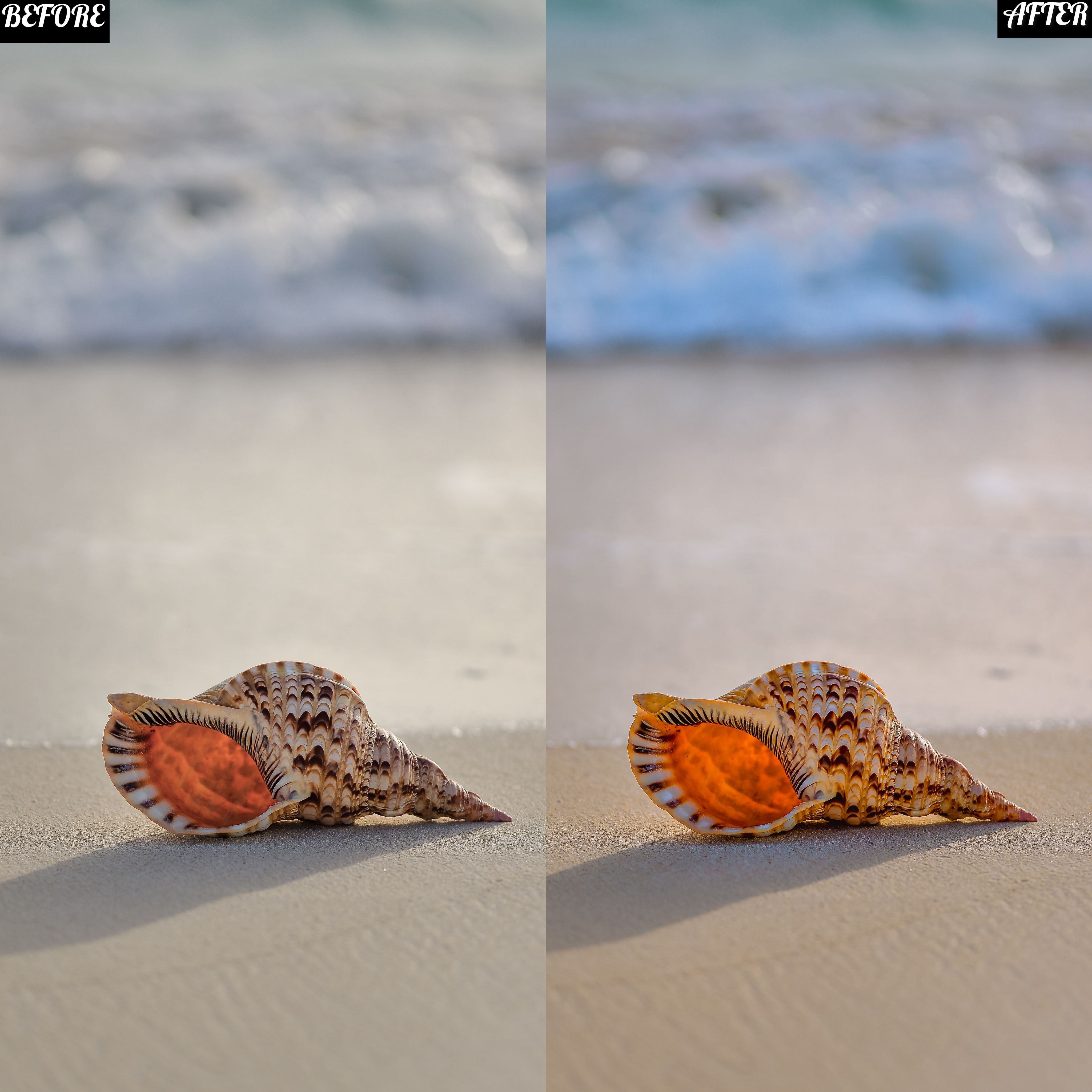 LAYLA NASE BEACH PRESET Image