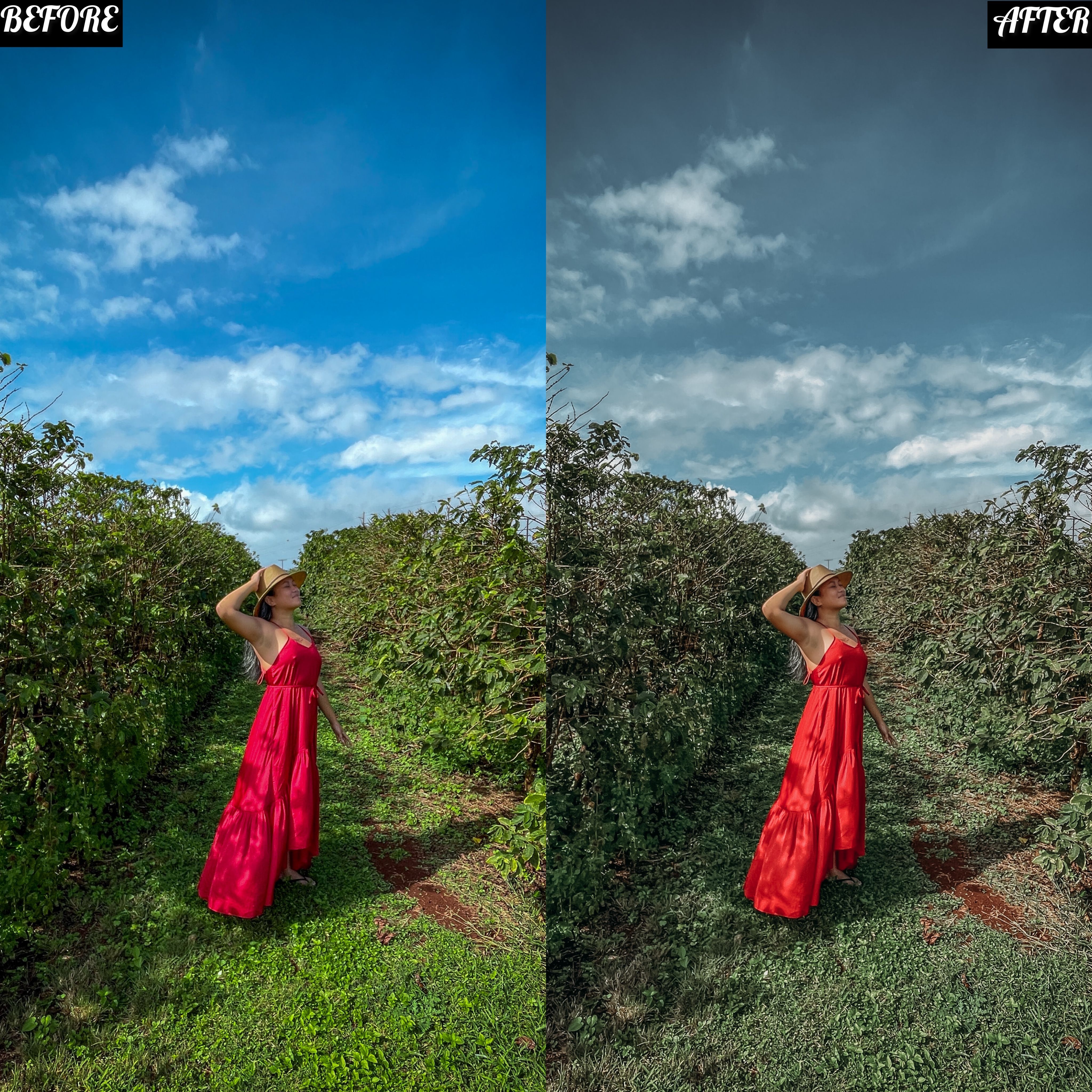 LAYLA NASE INFLUENCER PRESET (FEEL) Image