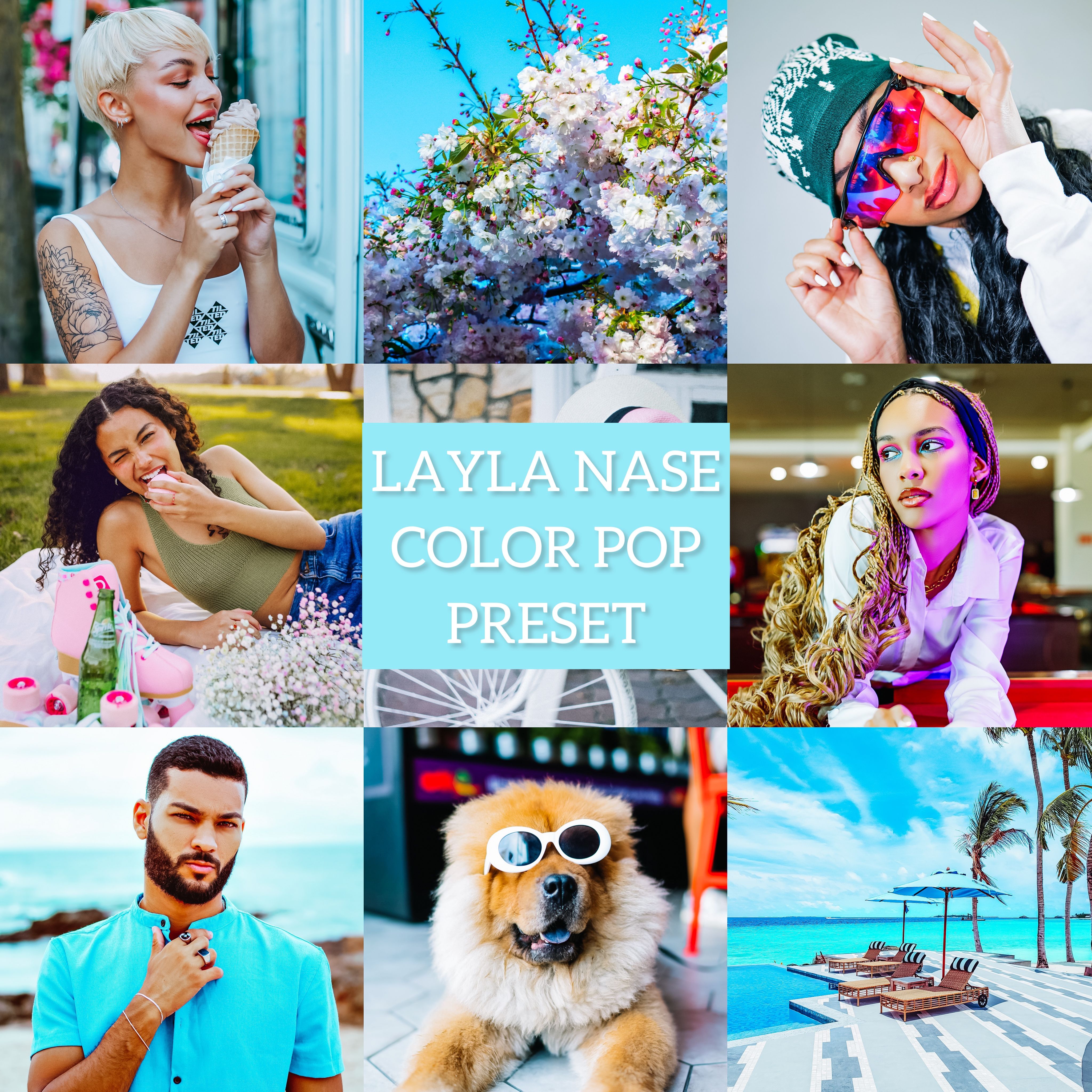 LAYLA NASE COLOR POP PRESET Image