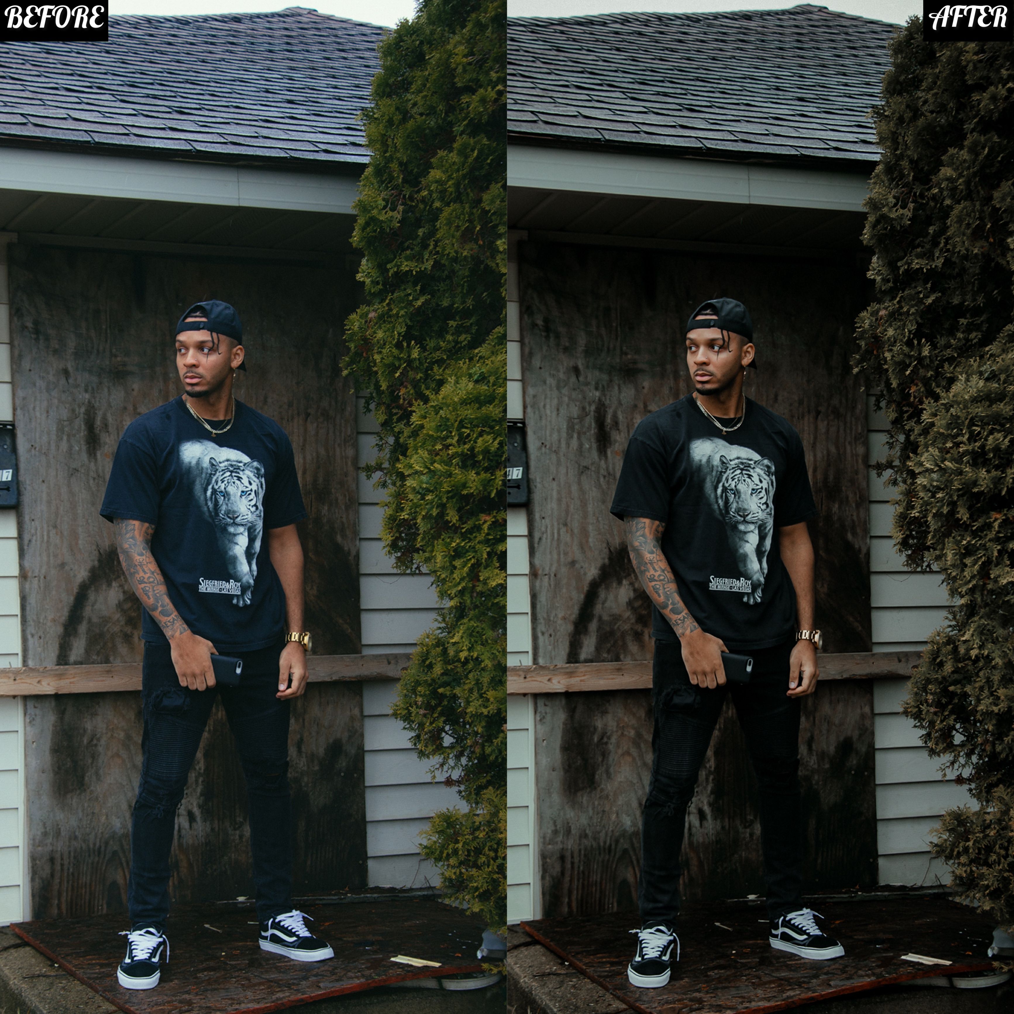 LAYLA NASE DEEP GREEN PRESET Image