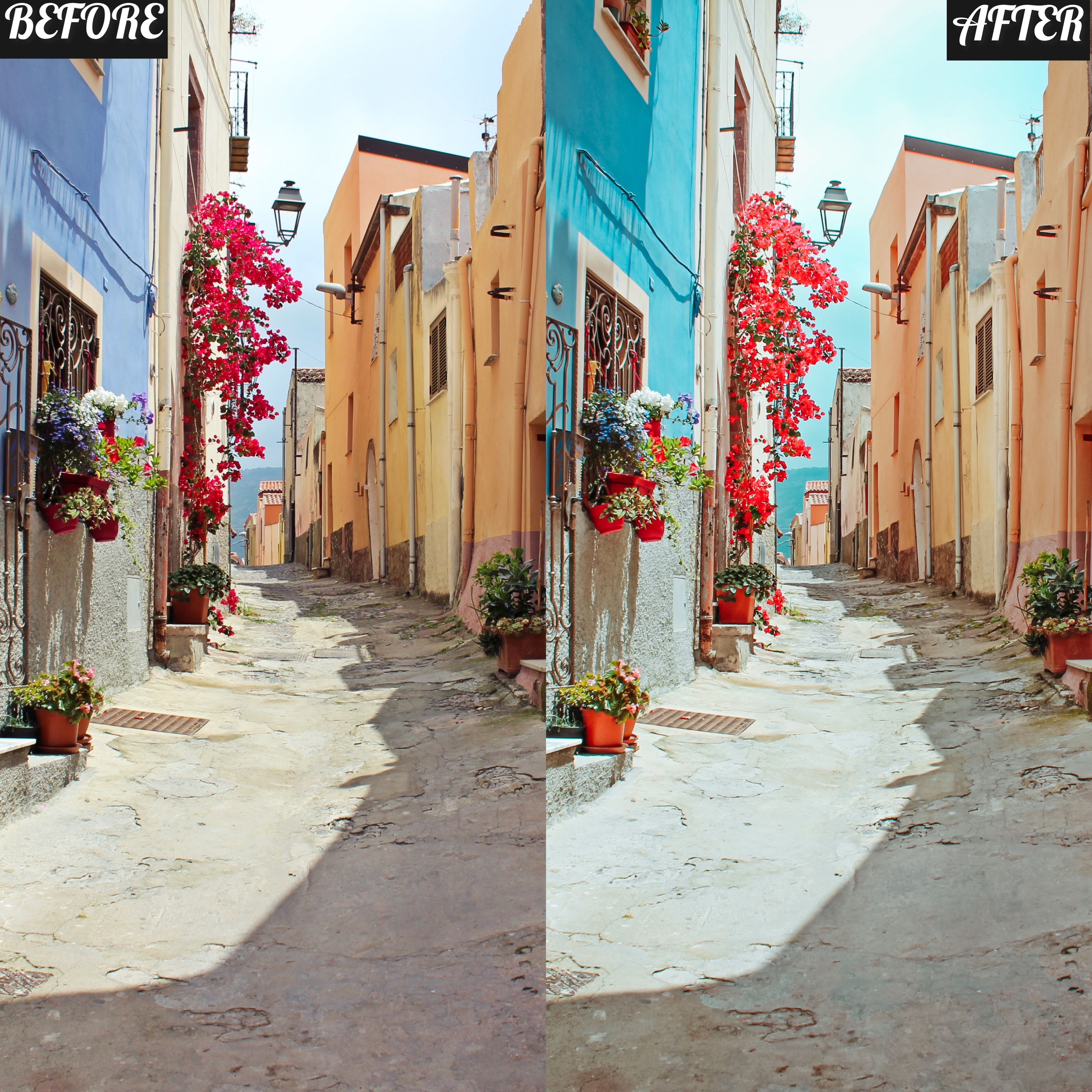 LAYLA NASE AQUA VIBE PRESET Image