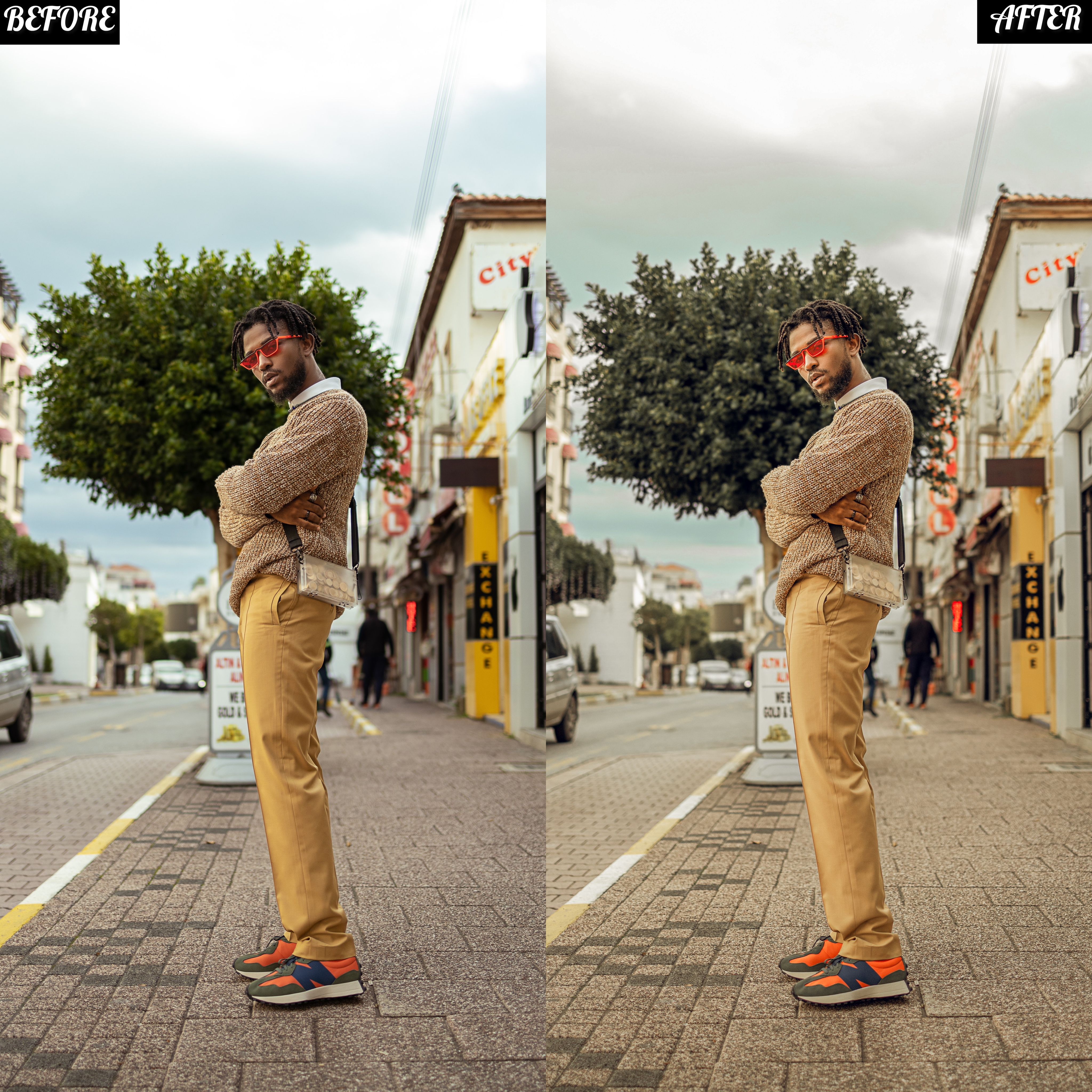 LAYLA NASE SUMMER BREEZE PRESET Image