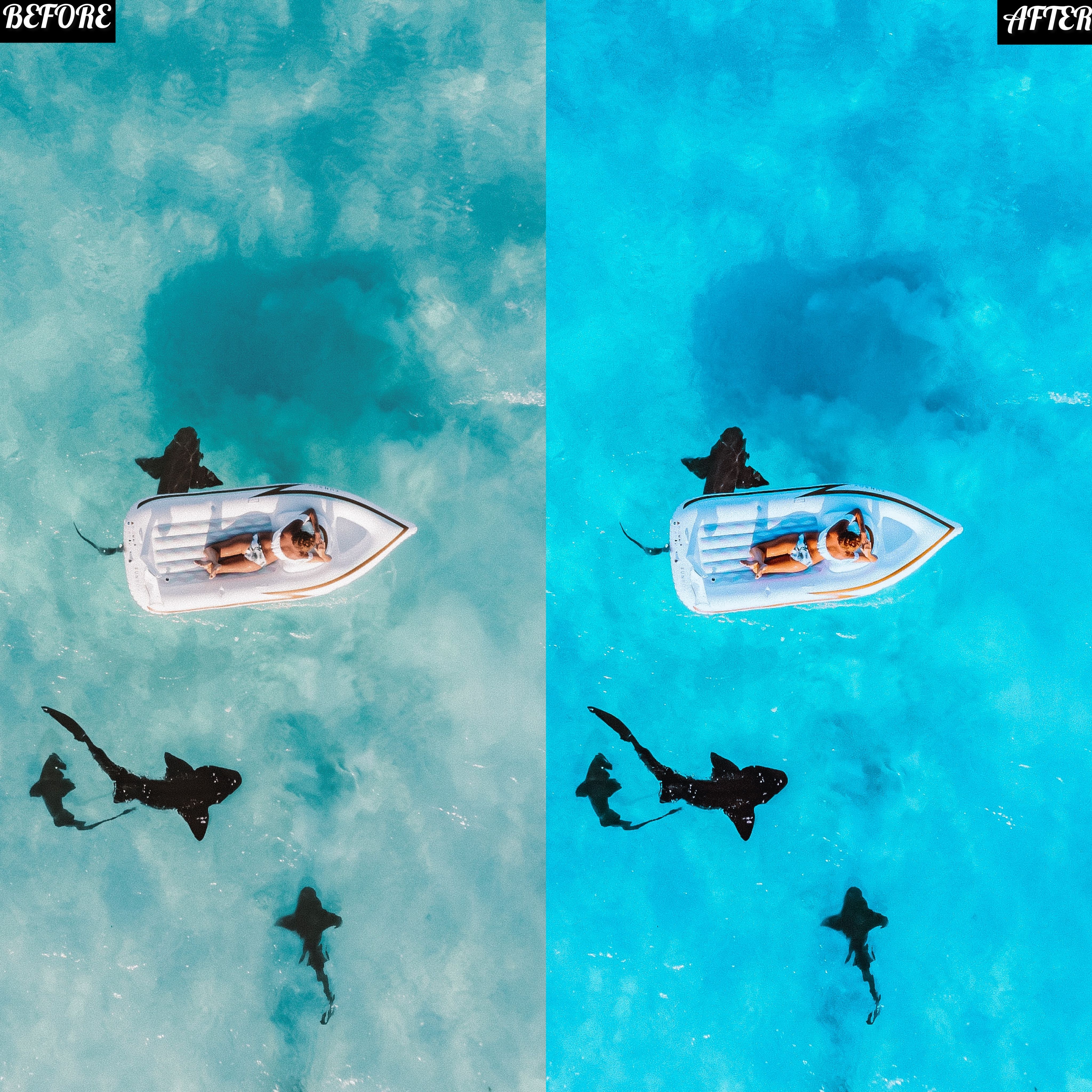 LAYLA NASE VACATION PRESET (HOLIDAY) Image