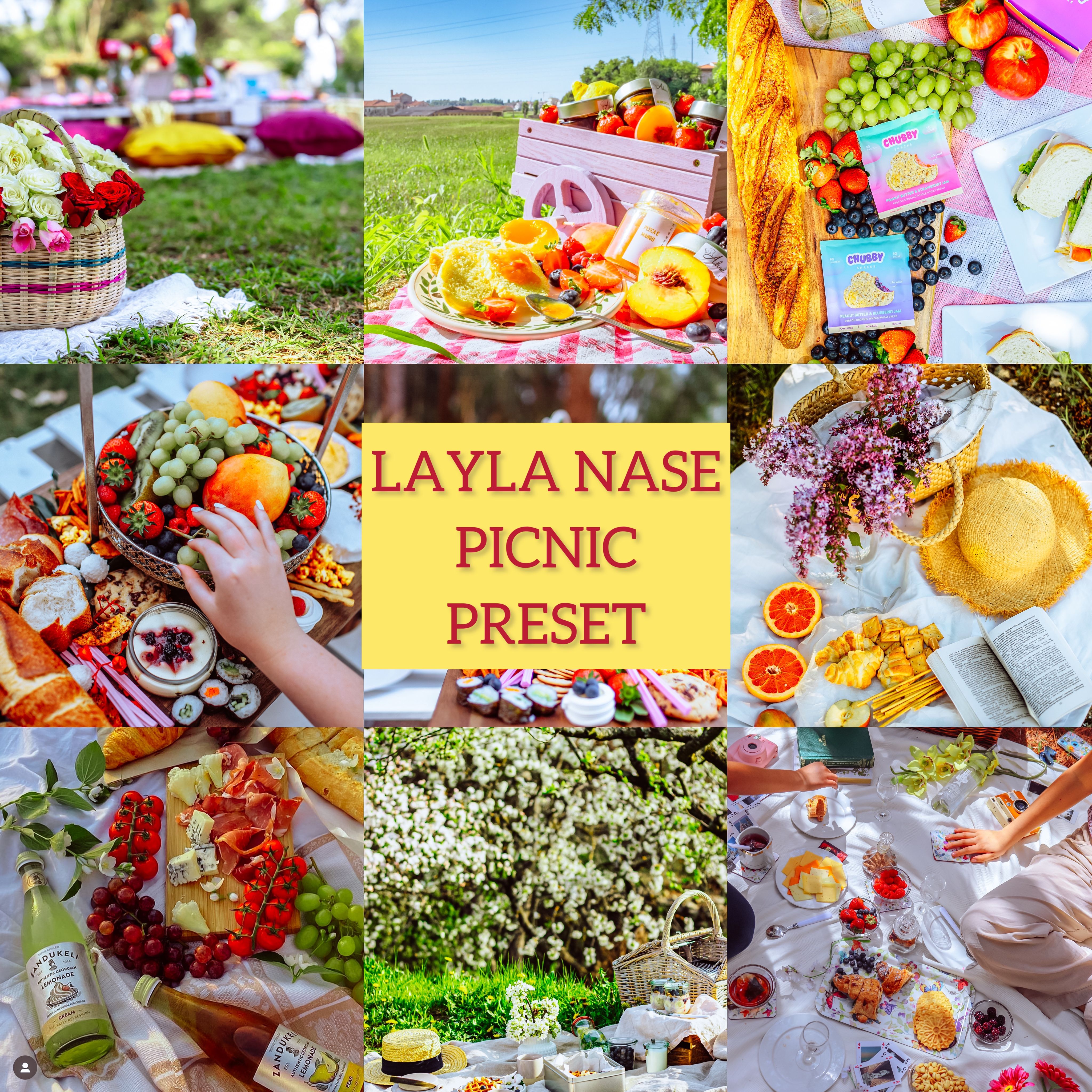 LAYLA NASE PICNIC PRESET Image
