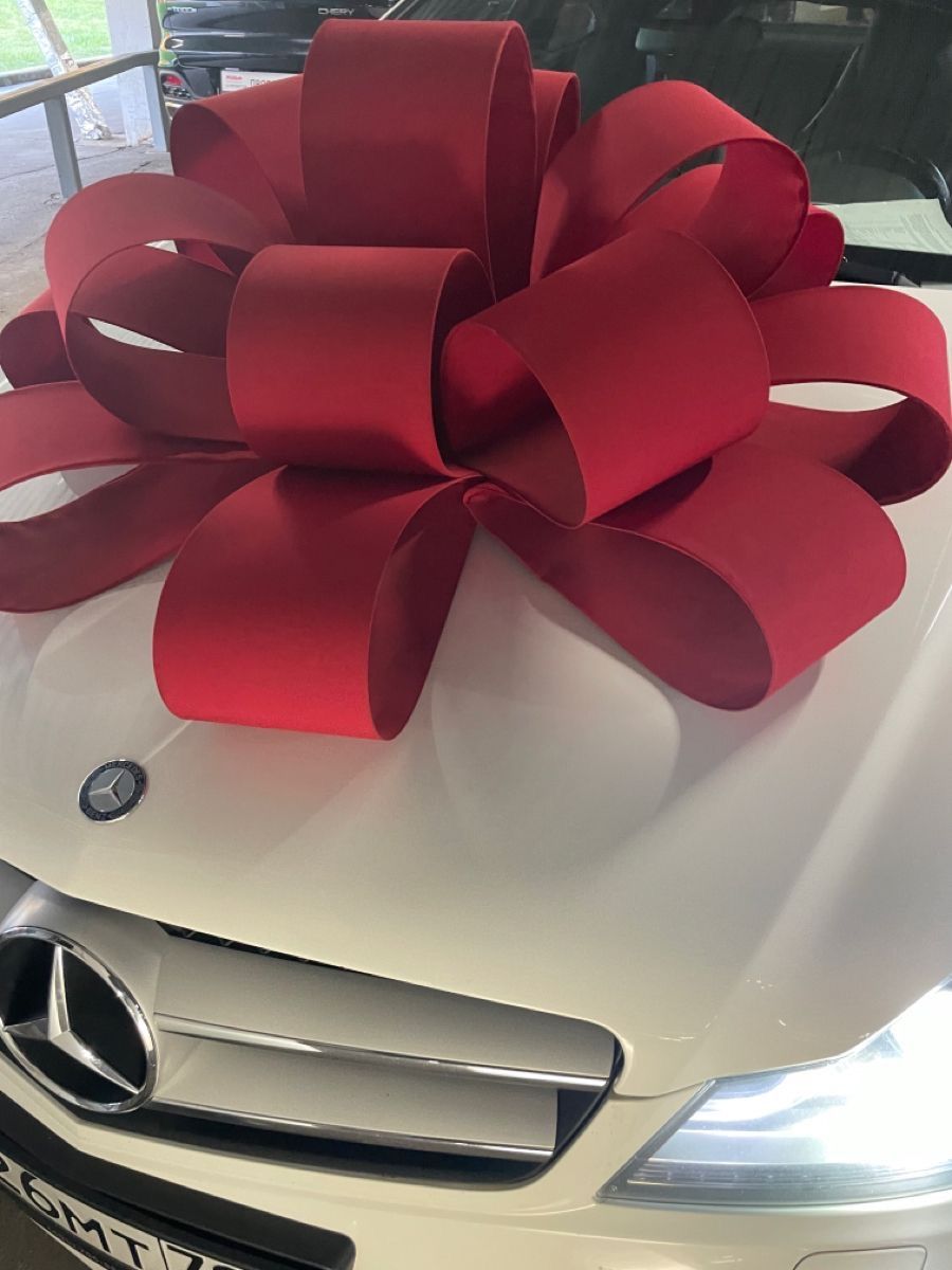 Giant car bow rental Image