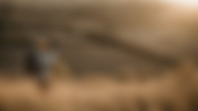 ewh-web25-header-herbstdeals2