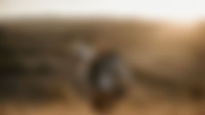 ewh-web25-header-herbstdeals3