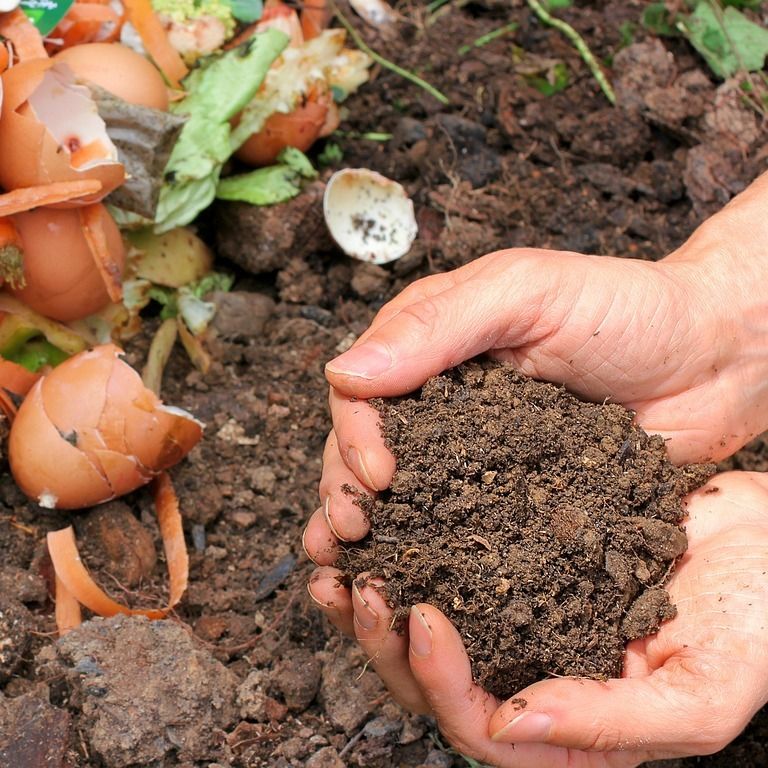 How to make compost at home with the Composter by COMPO - StepAlong by  Eliot Primault