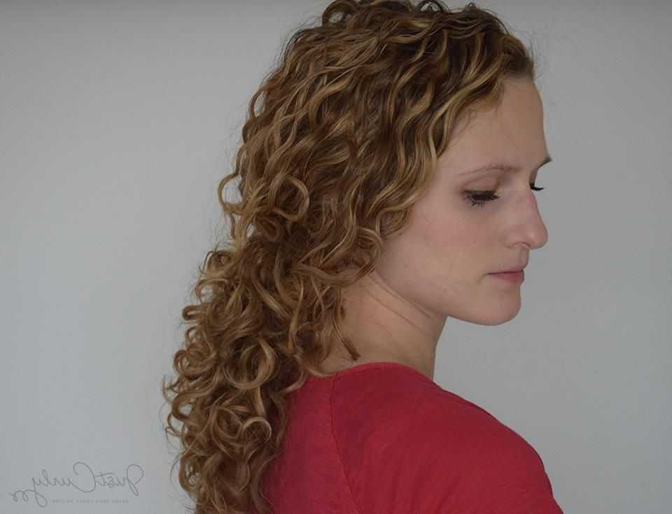 Pulling Back Curly Hair Without Destroying Its Curls Pattern Throughout Long Hairstyles Pulled Back (Gallery 13 of 15)