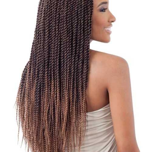 Black And Brown Senegalese Twist Hairstyles (Photo 20 of 20)