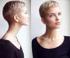 20 Inspirations Buzzed Pixie Haircuts