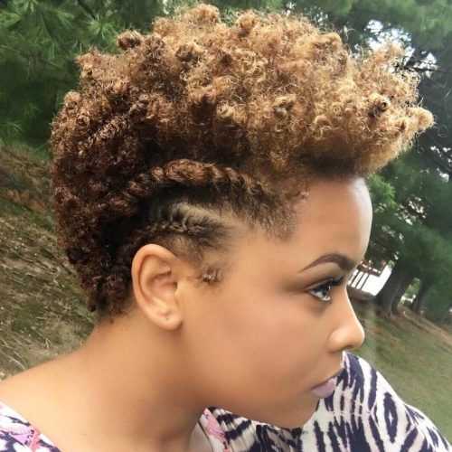 Tiny Twist Hairstyles With Caramel Highlights (Photo 17 of 20)