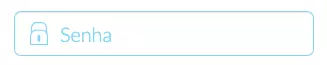 Campo de senha do Igmail vazio