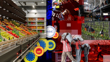 Labor of Migrant Workers in Agriculture  The Cases of Five Entirely Different Countries