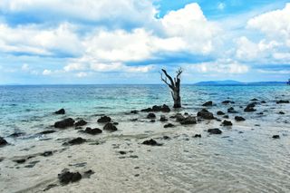 Little Andamans - FortHolidays