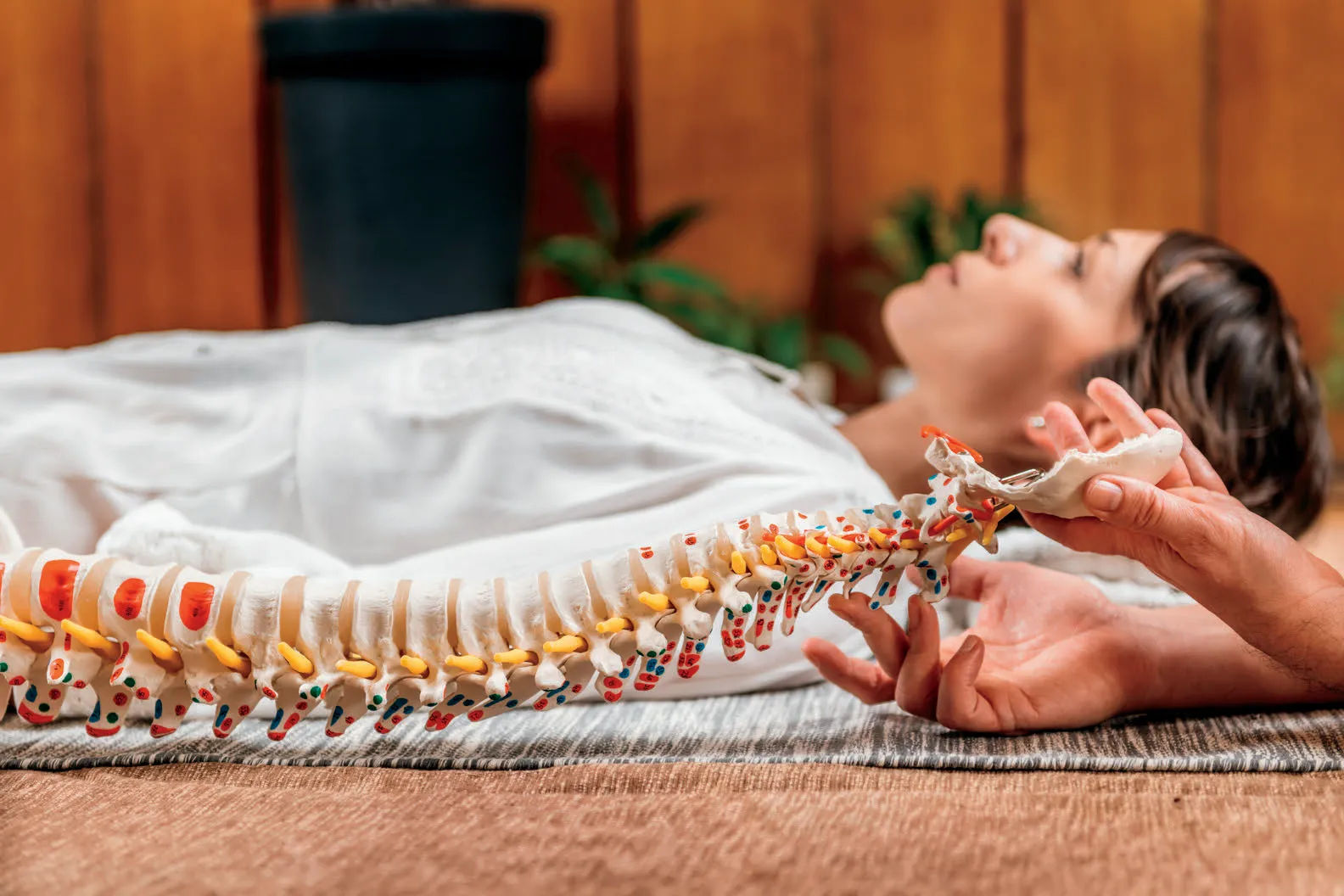 Doctor with Spine Model