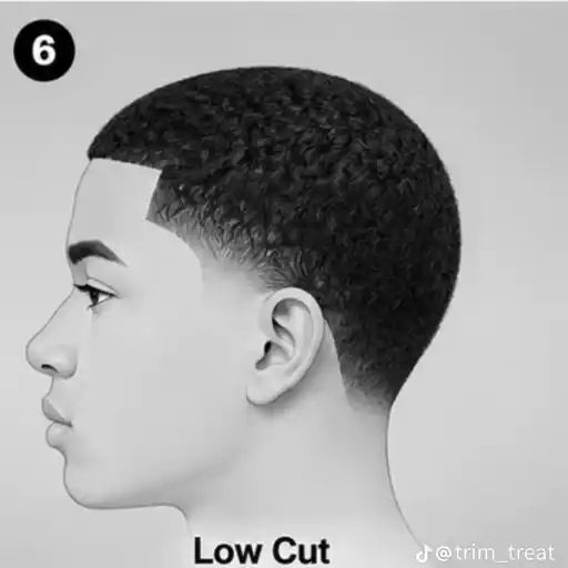 Haircut and style — social-media WhatsApp Group