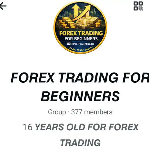 Forex Trading For Begginers — business WhatsApp group