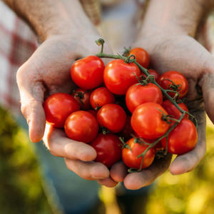 Farm Selection