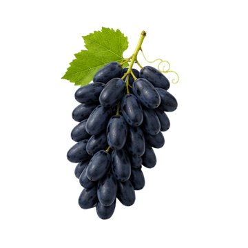 Black Long Grapes