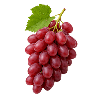 Red Globe Grapes