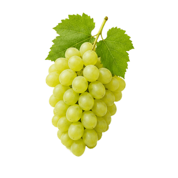 Sultana