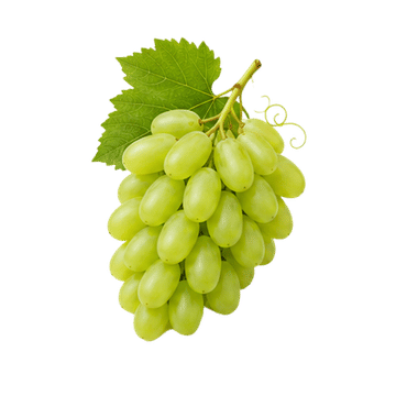 Thompson Seedless