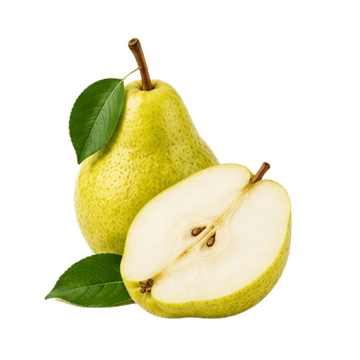 Anjou Pear