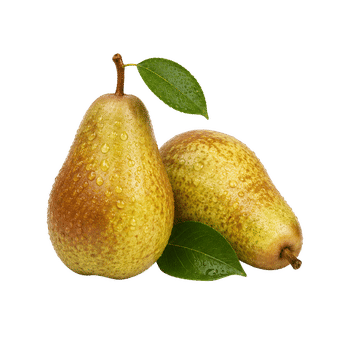 Kashmir Hale Pear