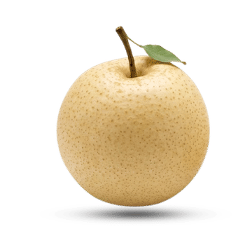 Nashi Asian Pear