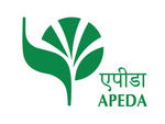 APEDA Member