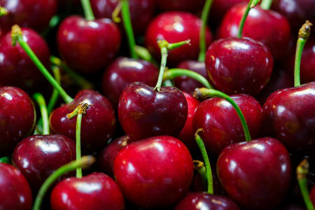 Fresh organic cherries