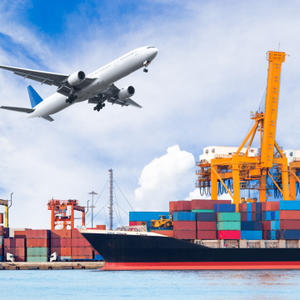 Cold Chain Export