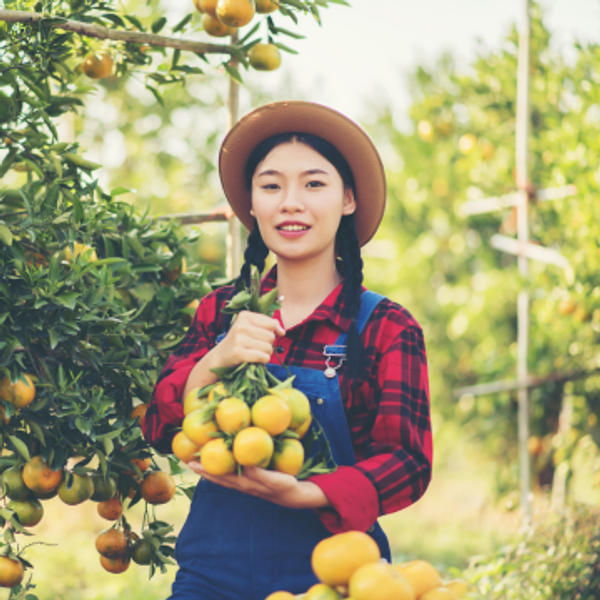 Premium selection of fresh organic produce with farmers