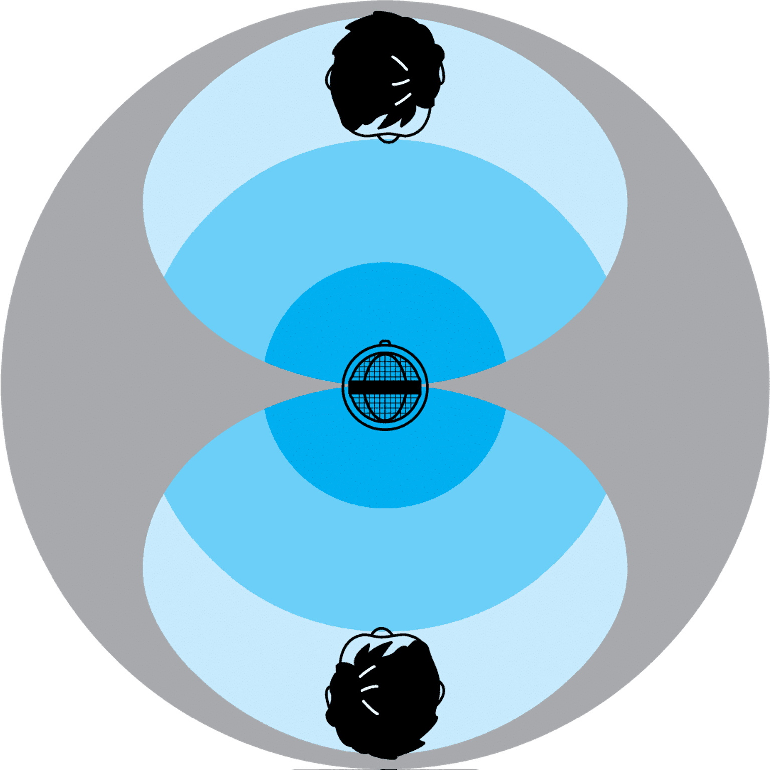 Bidirectional-Polar-Pattern