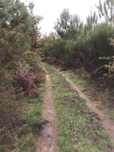 19267505c40 Adworth Amsterdam