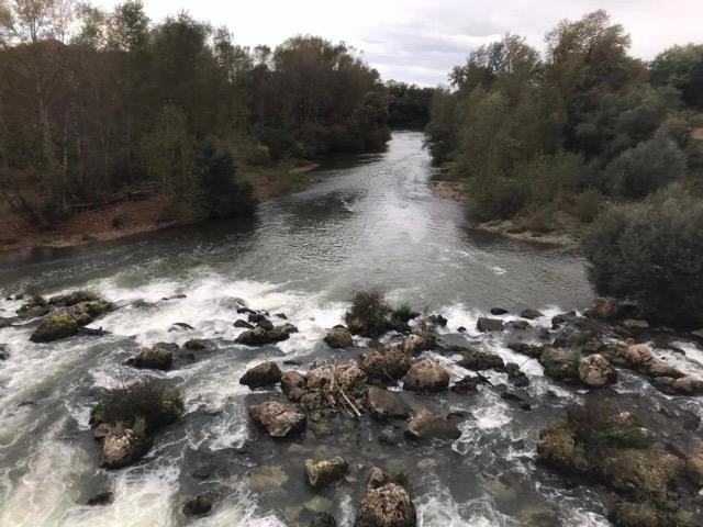 19272174c98 Adworth Amsterdam