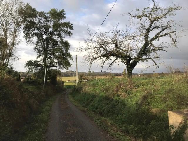 19276cccbc3 Adworth Amsterdam