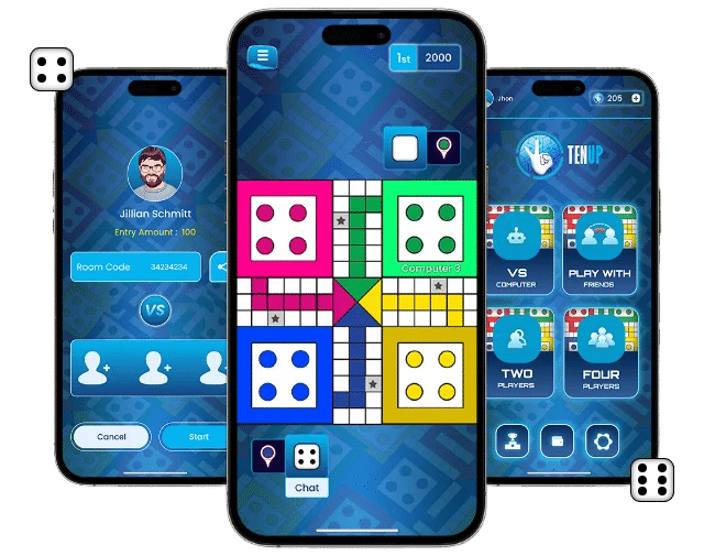 ludo game