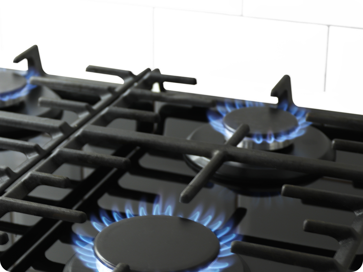 Burner Plate, Cap, and Grill Enamels - BPCG Technology